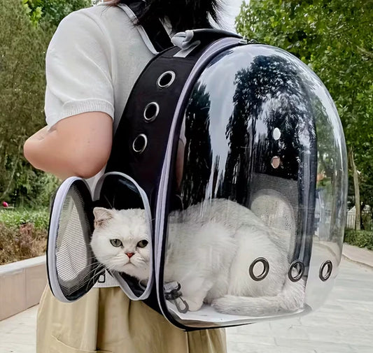 Transparent Capsule Pet Carrier Backpack – Foldable Travel Design